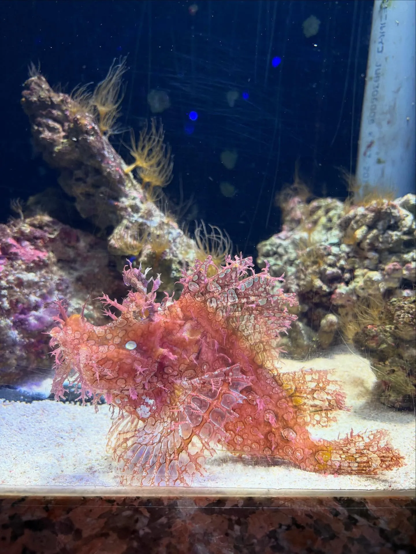 バーズ開いてまーす🤗