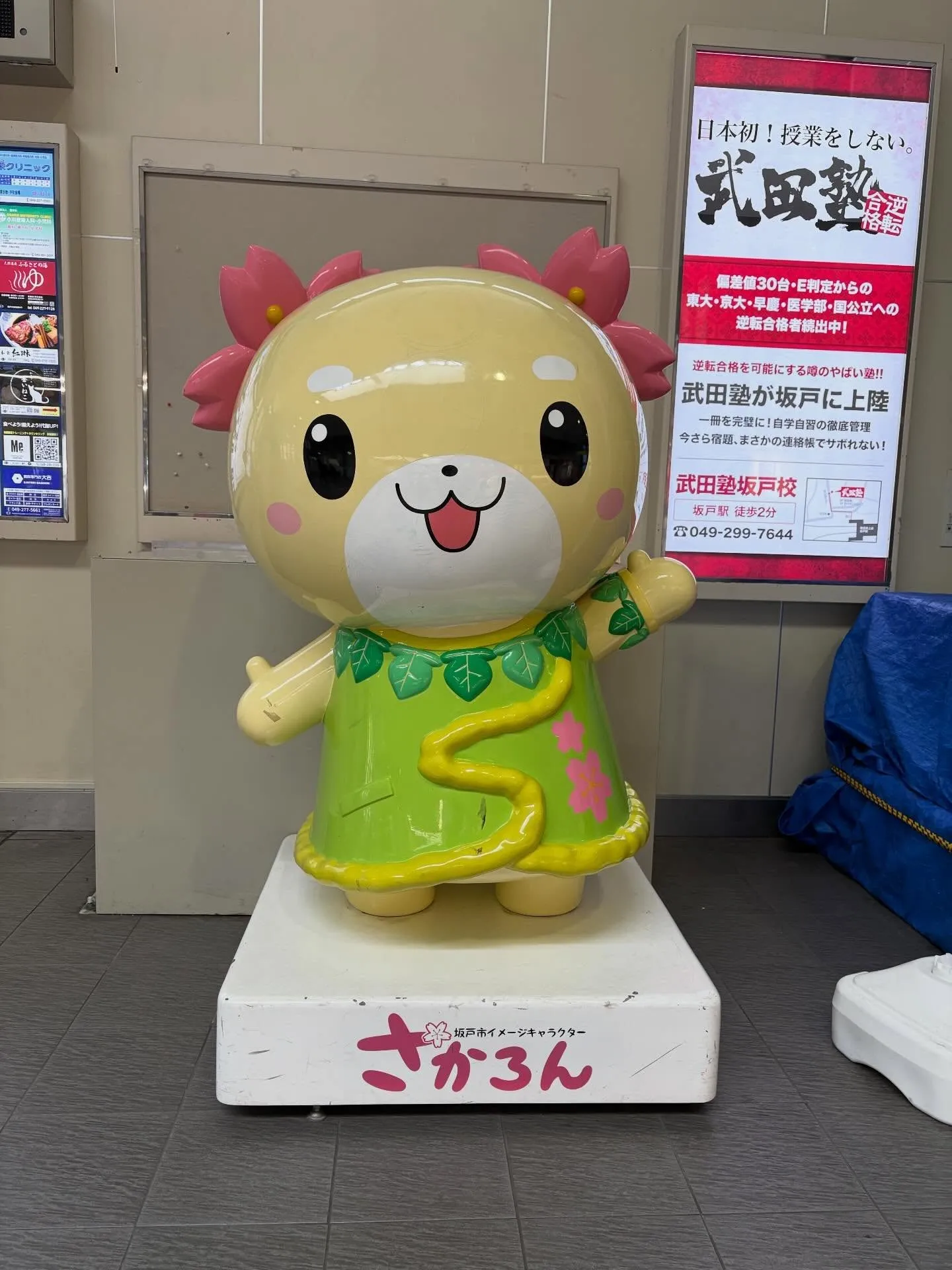 本日６日(水)バーズお休みさせていただきます🙇‍♀️